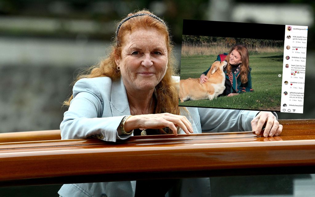 Kuningatar Elisabetin corgit ihastuttavat somessa – Sarah Ferguson julkaisi koirista tuoreita kuvia