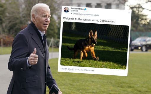 Joe Biden sai uuden koiran: tässä on suloinen Commander