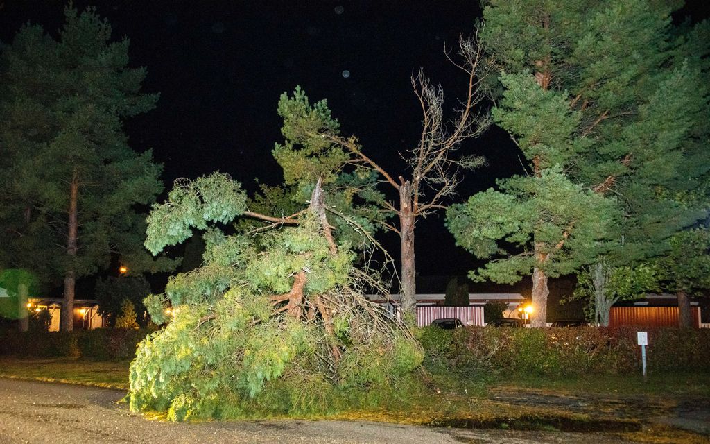 Talvimyrsky iskee – Nämä asiat kannattaa tarkistaa etukäteen