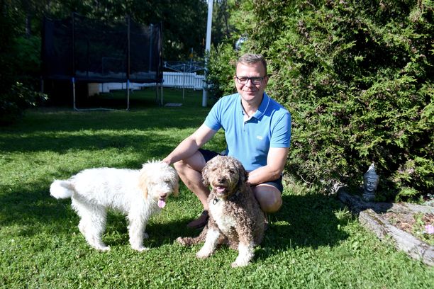 Kokoomuksen puheenjohtaja Petteri Orpo viettää kesää Pessi- ja Taavi-koirien kanssa.