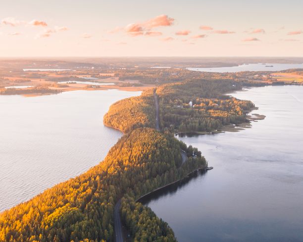 Vehoniemenharjun luontopolulla on suuria korkeuseroja, mutta portaiden ansiosta se sopii silti lapsillekin.