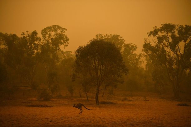 Australiassa vuosi 2019 oli mittaushistorian kuumin ja kuivin. Se pahensi Maailman ilmatieteen järjestön mukaan maan maastopalokatastrofia.