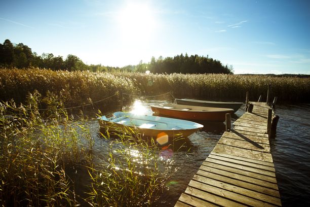 Ruissalo on hieno kohde luontoretkellä. Saarelta löytyy myös ravintola- ja kahvilatarjontaa.