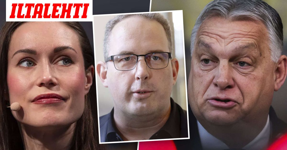 www.iltalehti.fi