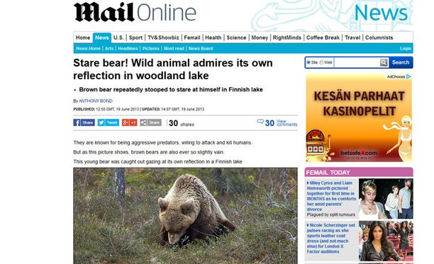 Daily Mailin verkkoversion kuvasarja näyttää, kuinka nuori karhu telmii suomalaisen järven rannalla.