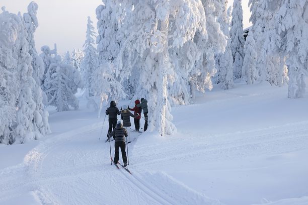 Suomen paras hiihtomaasto: suosikkia haetaan