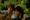 Taru sormusten herrasta -romaanien pohjalta kuvataan televisiosarjaa. Elokuvasarjassa Sean Astin näytteli Sam Gamgia ja Elijah Wood Frodo Reppulia.