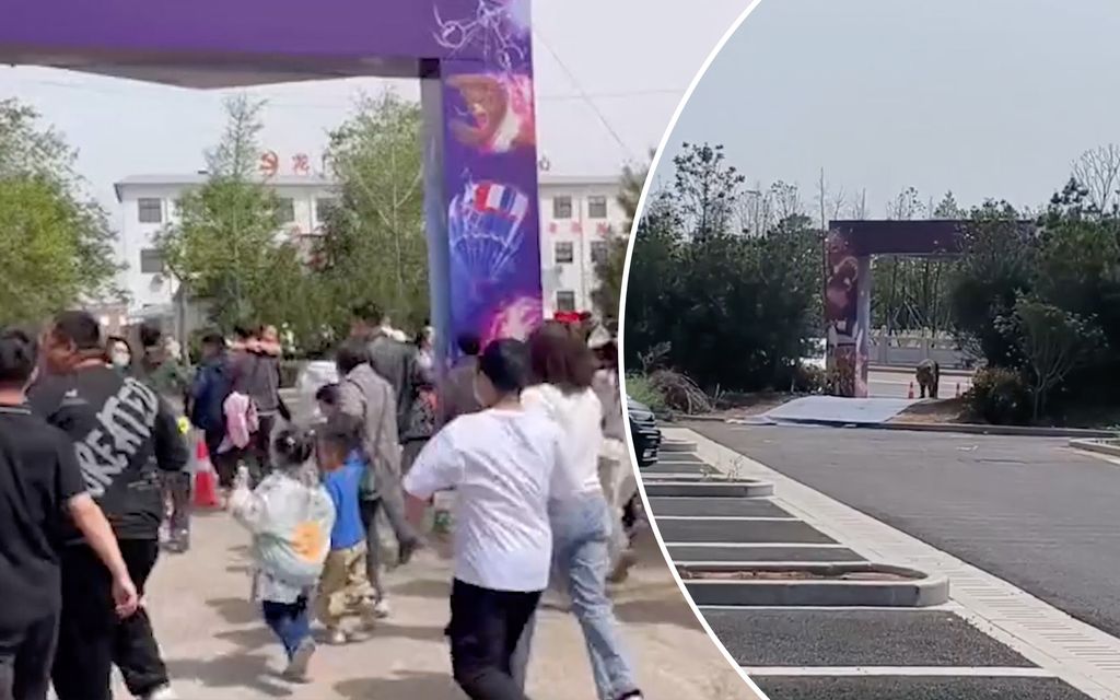 Kaksi leijonaa karkasi sirkuksesta kesken näytöksen Kiinassa