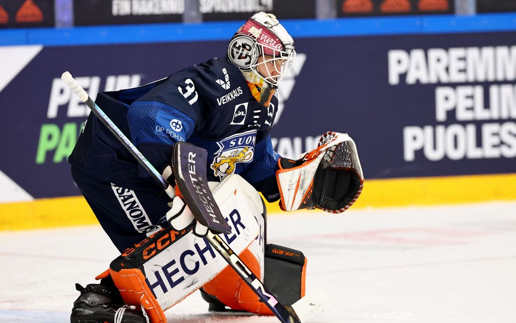 Sensaatio muhii Leijonissa