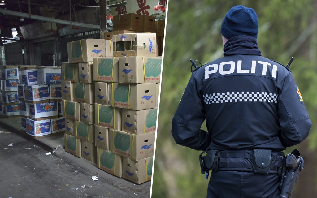 Yli 800 kiloa kokaiinia jemmattuna hedelmä­laatikoihin – Oslon poliisi teki historiallisen löydön