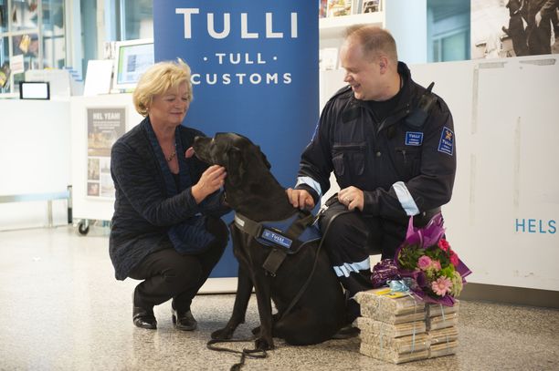 Suomen kaikkien aikojen tehokkain huumekoira Dani on kuollut