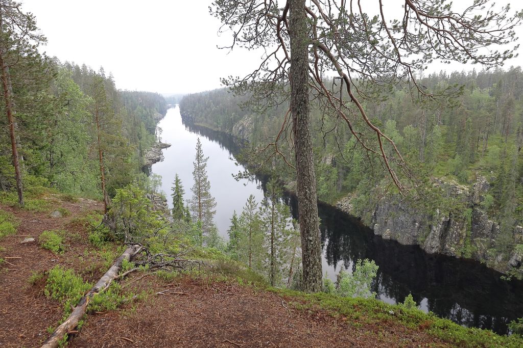 Maastopyöräilijän kuolema herätti kysymyksiä – kansallispuistoissa ei yleensä saa metsästää, Pohjois-Suomi poikkeus