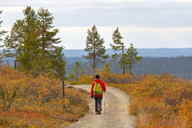 Suomen suosituimmat kansallispuistot - top 5