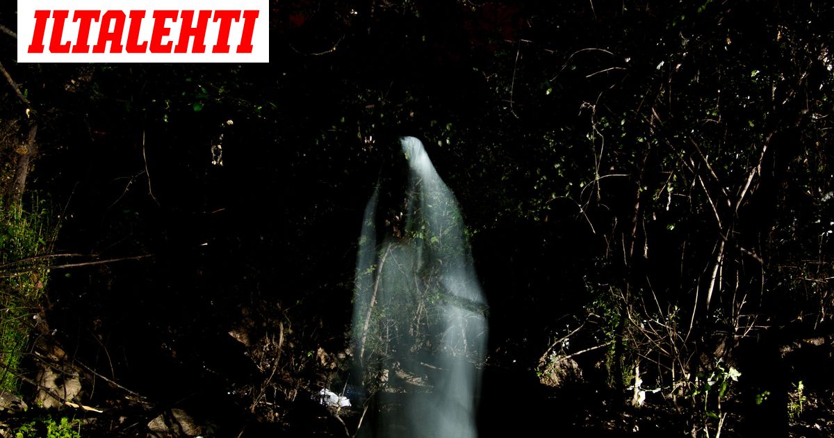 Kuollut Laheinen On Ilmestynyt Monelle Suomalaiselle Harva