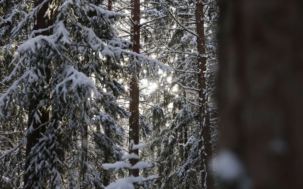 Kohta iskee myrsky – Jos olet täällä, varaudu