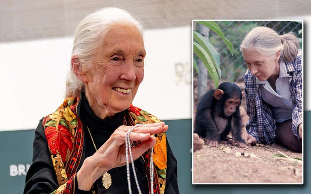 Jane Goodall on kuollut