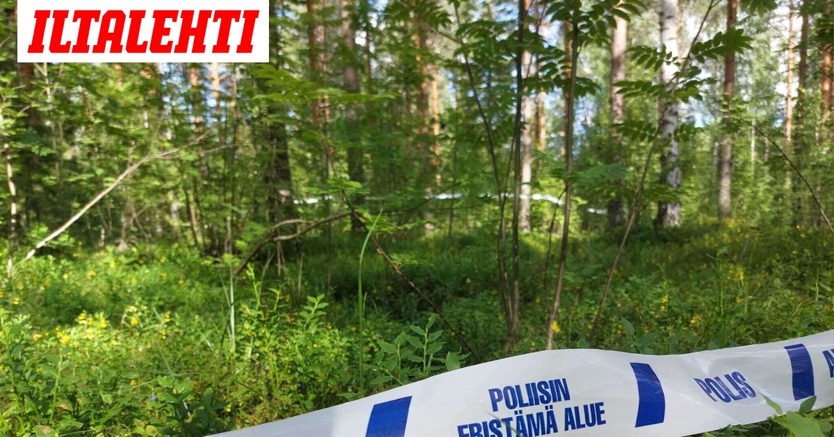 Uutta tietoa Jyväskylän pururataraiskauksesta