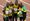 Jamaikan kultaa voittanut viestinelikko vuoden 2015 MM-kisoissa vasemmalta oikealle: Nickel Ashmeade, Asafa Powell, Usain Bolt ja Nesta Carter.