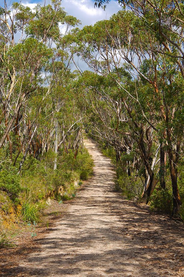 Epäilty väkivallanteko tapahtui 1000 kilometriä pitkän Bibbulmun vaellusreitin alkupäässä Perthin lähellä. Kuvituskuva. 