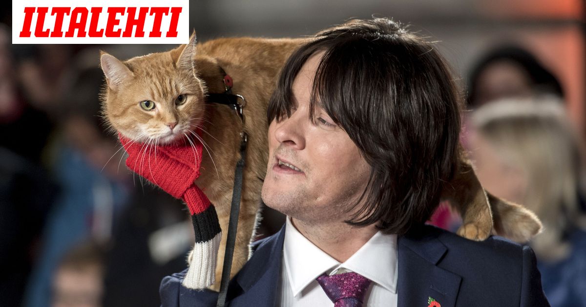 Katukatti Bob On Kuollut Muutti Huumeaddiktin Elaman